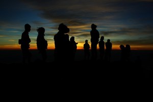 Image by kholisrevenge from Pixabay